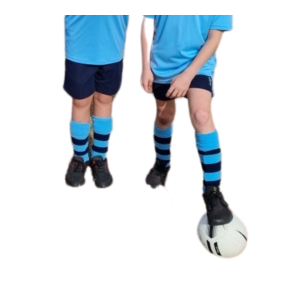 Gala Day Socks